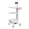 Cart de estación de trabajo de endoscopia ajustable ZQ-YQ-EK12 con almacenamiento seguro